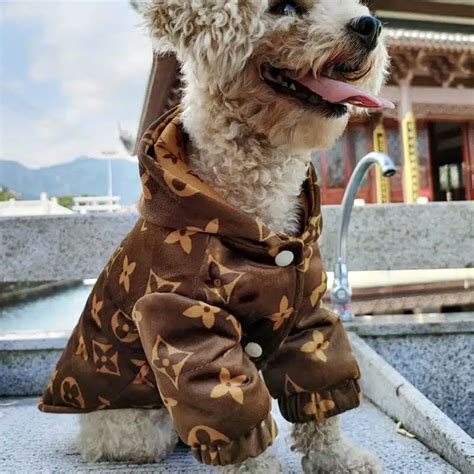 louis vuitton dog products for sale 